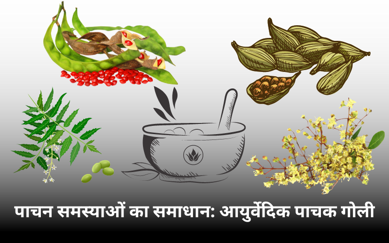 पाचन समस्याओं का समाधान: आयुर्वेदिक पाचक गोली
