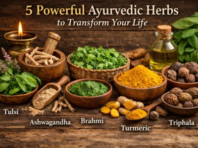5 Powerful Ayurvedic Herbs to Transform Your Life